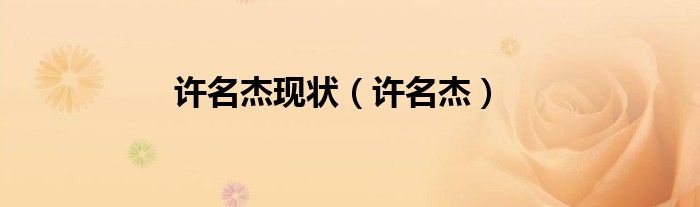 许名杰现状（许名杰）