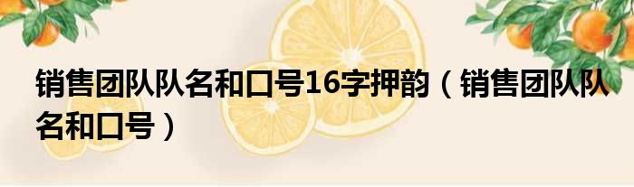 销售团队队名和口号16字押韵（销售团队队名和口号）