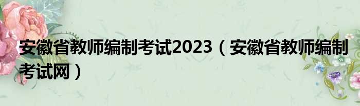 安徽省教师编制考试2023（安徽省教师编制考试网）