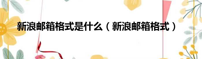 新浪邮箱格式是什么（新浪邮箱格式）
