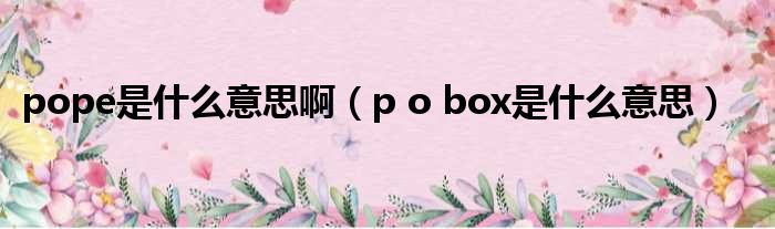 pope是什么意思啊（p o box是什么意思）