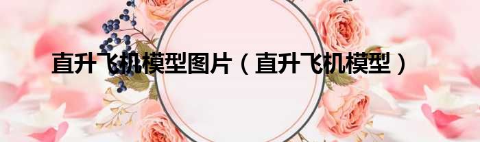 直升飞机模型图片（直升飞机模型）
