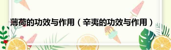 薄荷的功效与作用（辛夷的功效与作用）