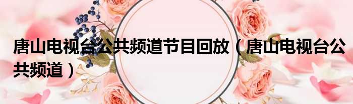 唐山电视台公共频道节目回放（唐山电视台公共频道）