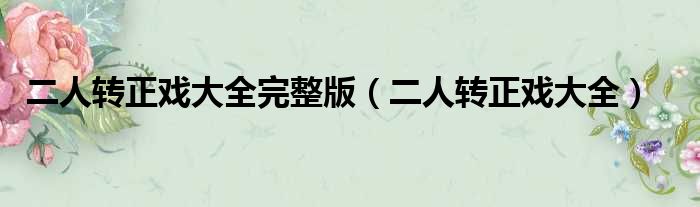 二人转正戏大全完整版（二人转正戏大全）
