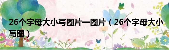 26个字母大小写图片一图片（26个字母大小写图）