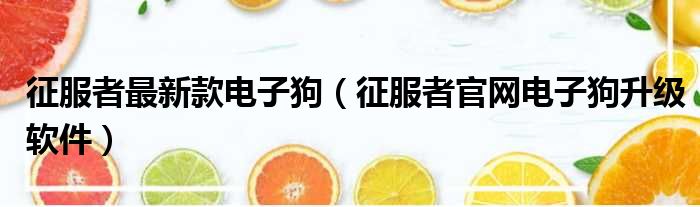 征服者最新款电子狗（征服者官网电子狗升级软件）