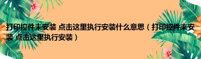 打印控件未安装 点击这里执行安装什么意思（打印控件未安装 点击这里执行安装）