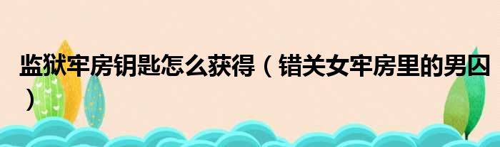 监狱牢房钥匙怎么获得（错关女牢房里的男囚）
