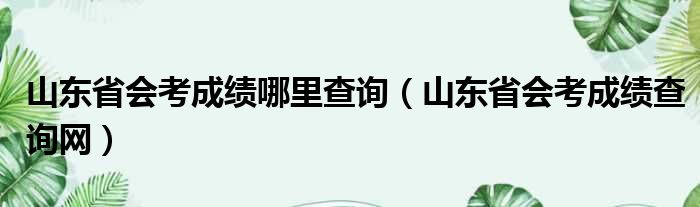 山东省会考成绩哪里查询（山东省会考成绩查询网）