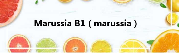 Marussia B1（marussia）