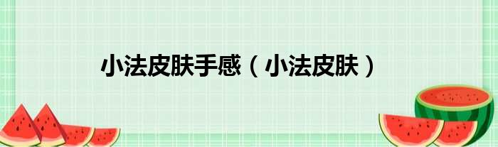 小法皮肤手感（小法皮肤）