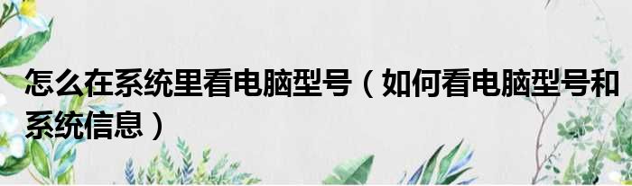 怎么在系统里看电脑型号（如何看电脑型号和系统信息）