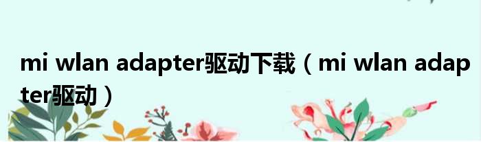 mi wlan adapter驱动下载（mi wlan adapter驱动）