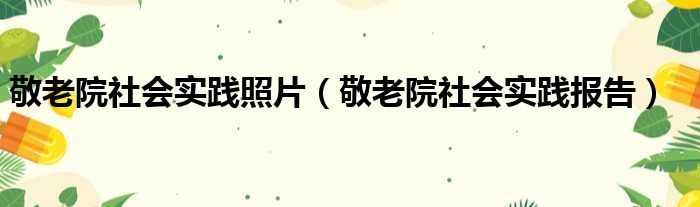 敬老院社会实践照片（敬老院社会实践报告）