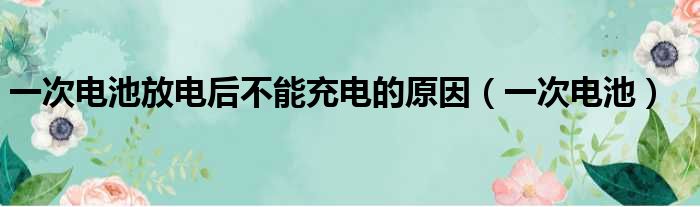 一次电池放电后不能充电的原因（一次电池）