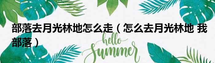 部落去月光林地怎么走（怎么去月光林地 我部落）