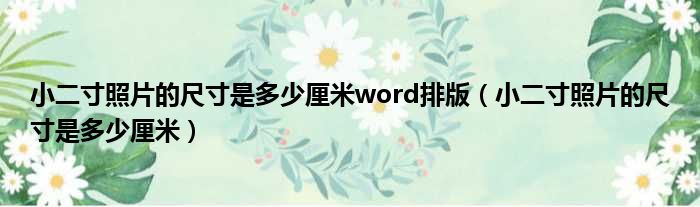 小二寸照片的尺寸是多少厘米word排版（小二寸照片的尺寸是多少厘米）