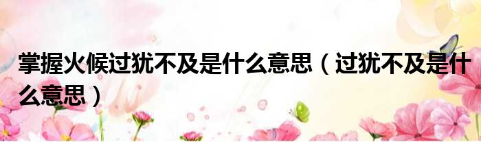 掌握火候过犹不及是什么意思（过犹不及是什么意思）
