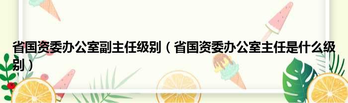 省国资委办公室副主任级别（省国资委办公室主任是什么级别）