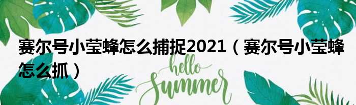 赛尔号小莹蜂怎么捕捉2021（赛尔号小莹蜂怎么抓）