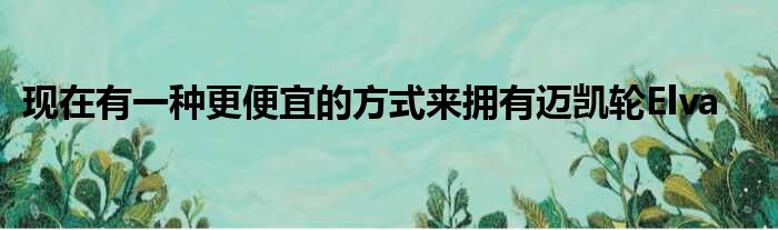 现在有一种更便宜的方式来拥有迈凯轮Elva