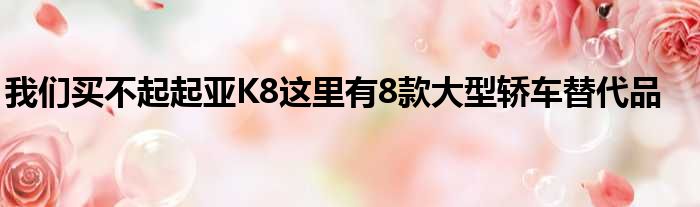 我们买不起起亚K8这里有8款大型轿车替代品