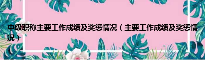 中级职称主要工作成绩及奖惩情况（主要工作成绩及奖惩情况）