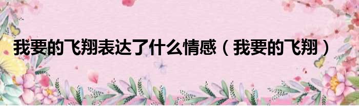 我要的飞翔表达了什么情感（我要的飞翔）
