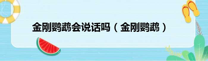金刚鹦鹉会说话吗（金刚鹦鹉）