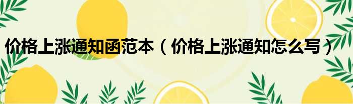价格上涨通知函范本（价格上涨通知怎么写）