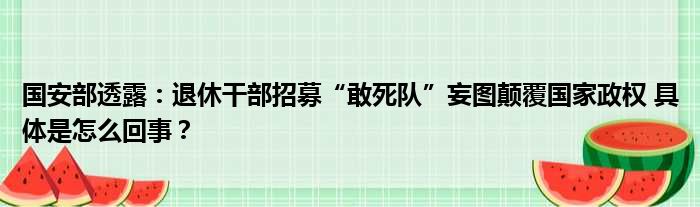 国安部透露：退休干部招募“敢死队”妄图颠覆国家政权 具体是怎么回事？