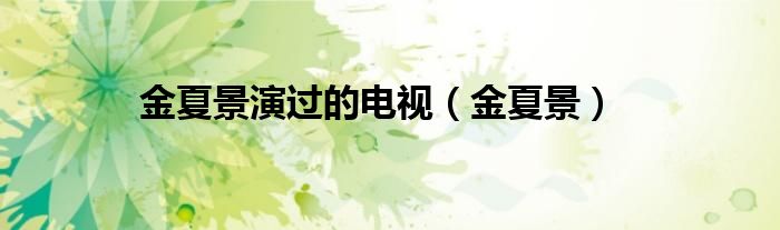 金夏景演过的电视（金夏景）