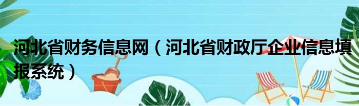 河北省财务信息网（河北省财政厅企业信息填报系统）
