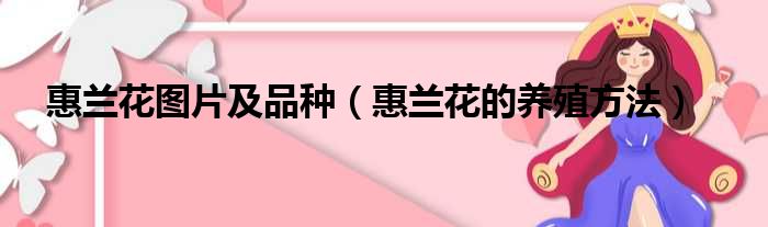 惠兰花图片及品种（惠兰花的养殖方法）