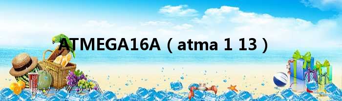 ATMEGA16A（atma 1 13）