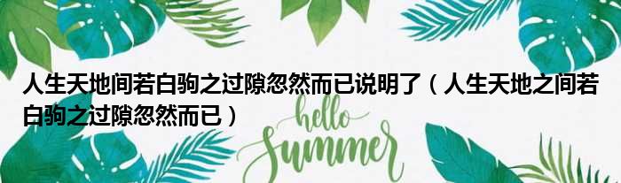 人生天地间若白驹之过隙忽然而已说明了（人生天地之间若白驹之过隙忽然而已）