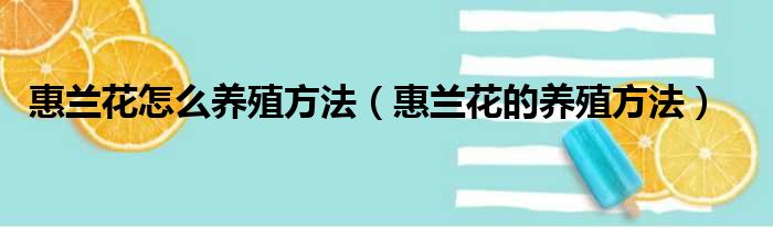 惠兰花怎么养殖方法（惠兰花的养殖方法）