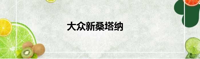 大众新桑塔纳