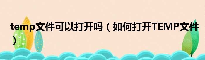 temp文件可以打开吗（如何打开TEMP文件）