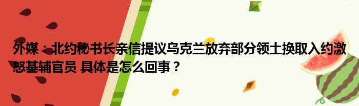 外媒：北约秘书长亲信提议乌克兰放弃部分领土换取入约激怒基辅官员 具体是怎么回事？