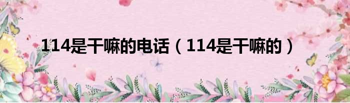 114是干嘛的电话（114是干嘛的）