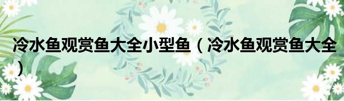 冷水鱼观赏鱼大全小型鱼（冷水鱼观赏鱼大全）