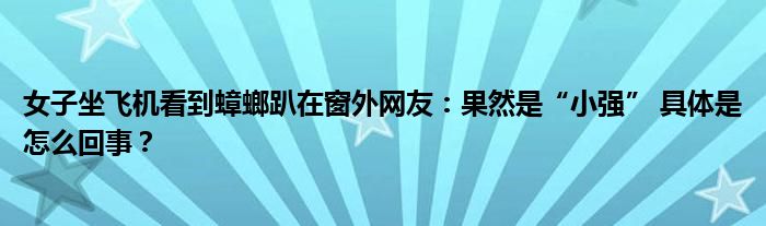 女子坐飞机看到蟑螂趴在窗外网友：果然是“小强” 具体是怎么回事？
