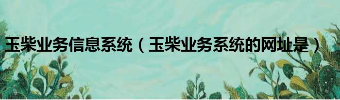 玉柴业务信息系统（玉柴业务系统的网址是）
