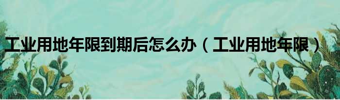 工业用地年限到期后怎么办（工业用地年限）