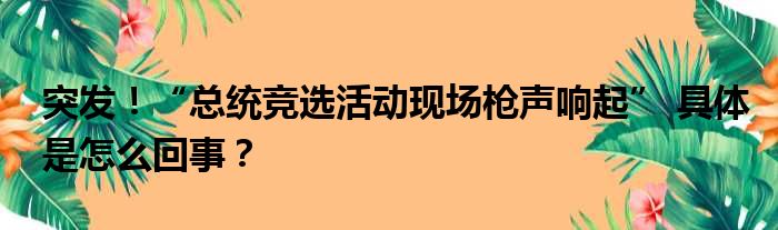 突发！“总统竞选活动现场枪声响起” 具体是怎么回事？