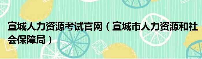 宣城人力资源考试官网（宣城市人力资源和社会保障局）