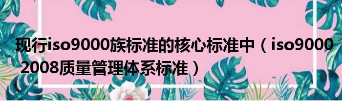 现行iso9000族标准的核心标准中（iso9000 2008质量管理体系标准）