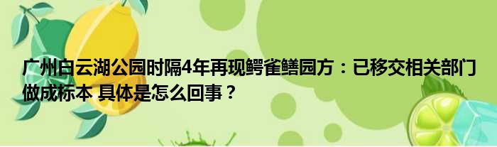 广州白云湖公园时隔4年再现鳄雀鳝园方：已移交相关部门做成标本 具体是怎么回事？